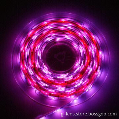 5050 Digital LED Strip with IC Dream Color LED Strip light